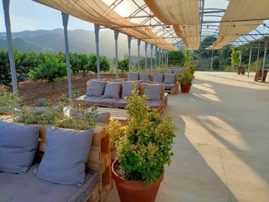 Beautiful Spot For Remote Work Apartment Alella Exterior photo